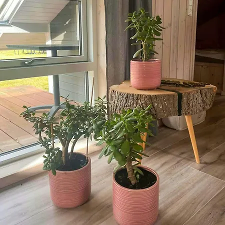度假居 Summer House Near And Nature